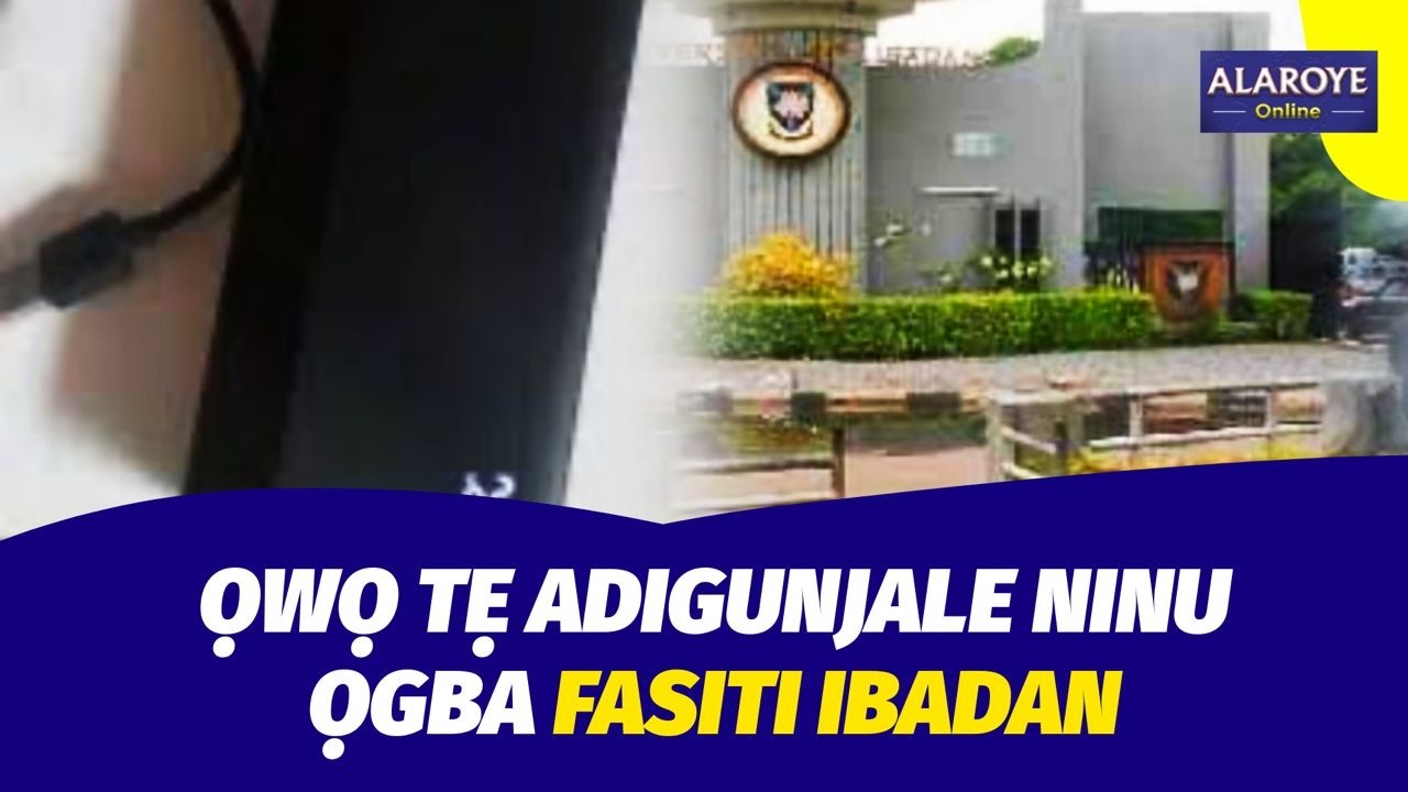 WỌN MU ADIGUNJALE NINU ỌGBA YUNIFASITI NIBADAN