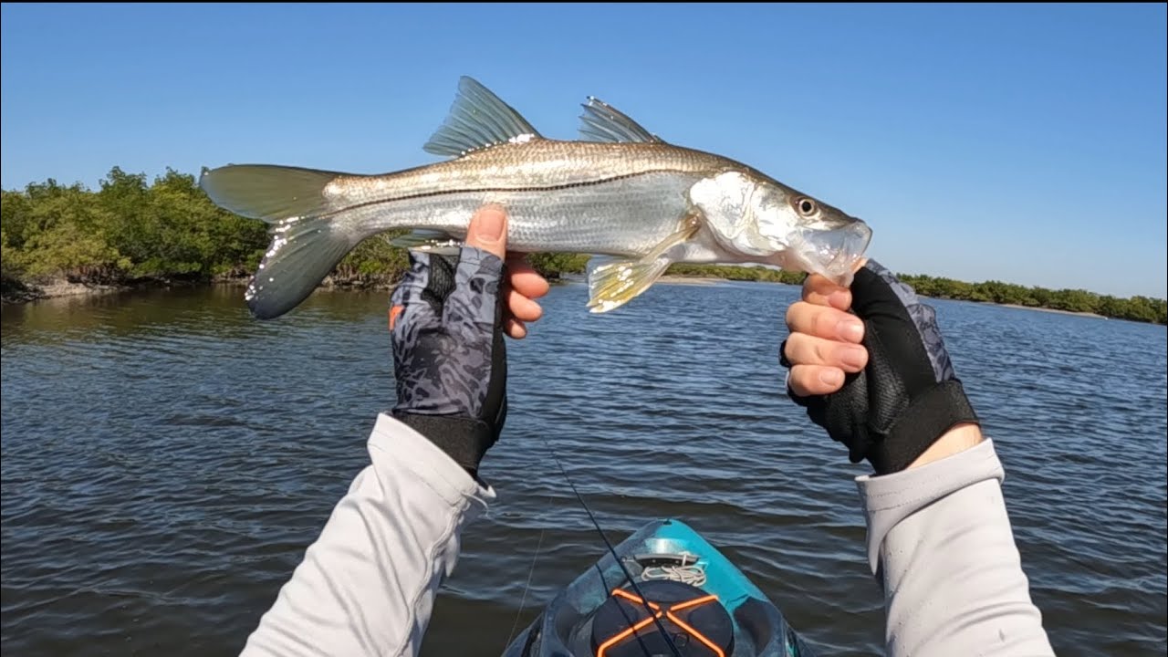 Inshore Fishing - North Mosquito Lagoon 11-14-25