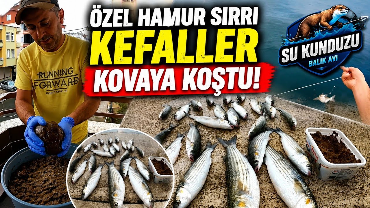 KEFAL BALIĞI TUTMA TEKNİĞİ, BU SİSTEMLE HER AVCI KEFAL YAKALASIN🇹🇷KARADENİZİN MAVİ DERİNLİKLERİ 🇹🇷🇹🇷
