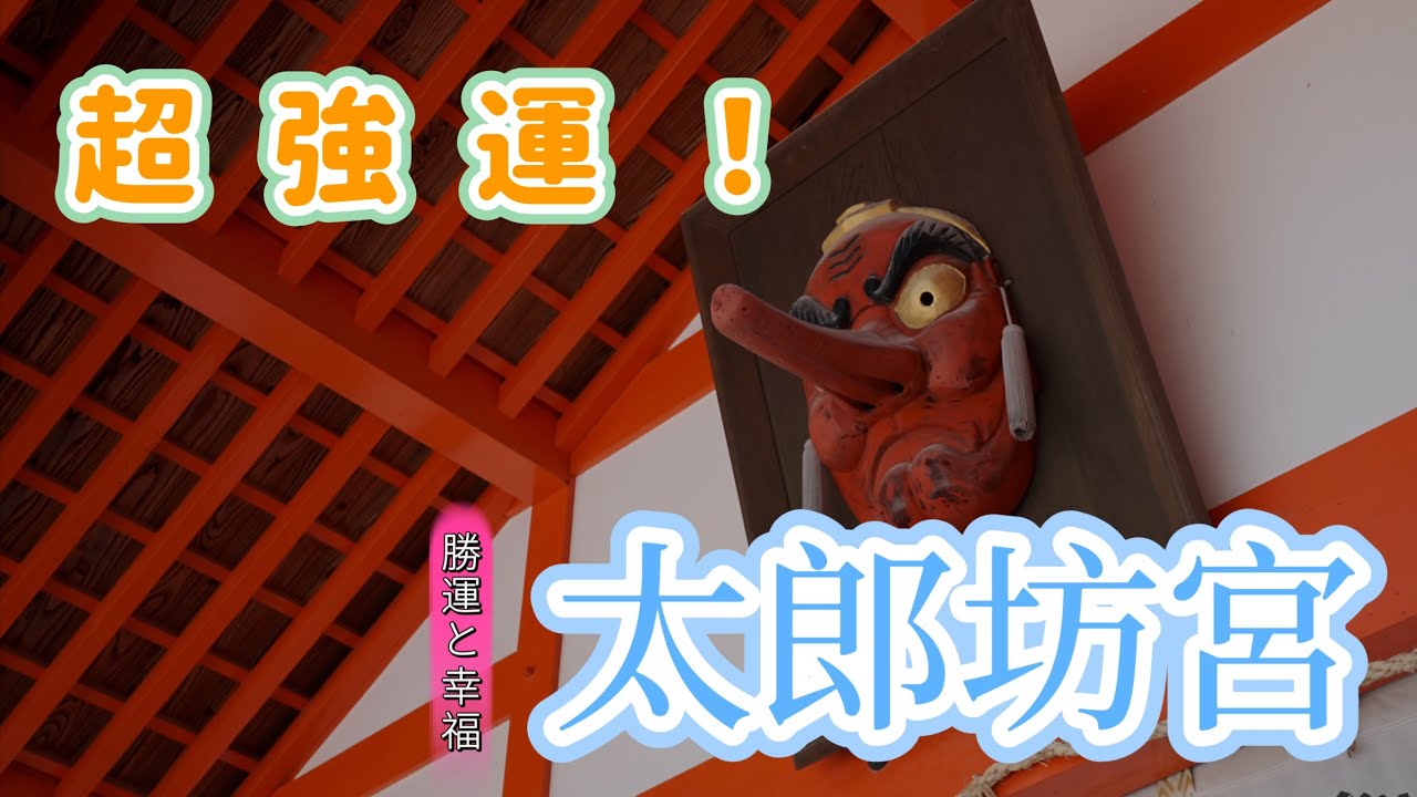 【超強運！東近江の太郎坊宮】滋賀県パワースポット｜幸運と勝運をもたらす神社｜滋賀県の穴場スポットオススメ