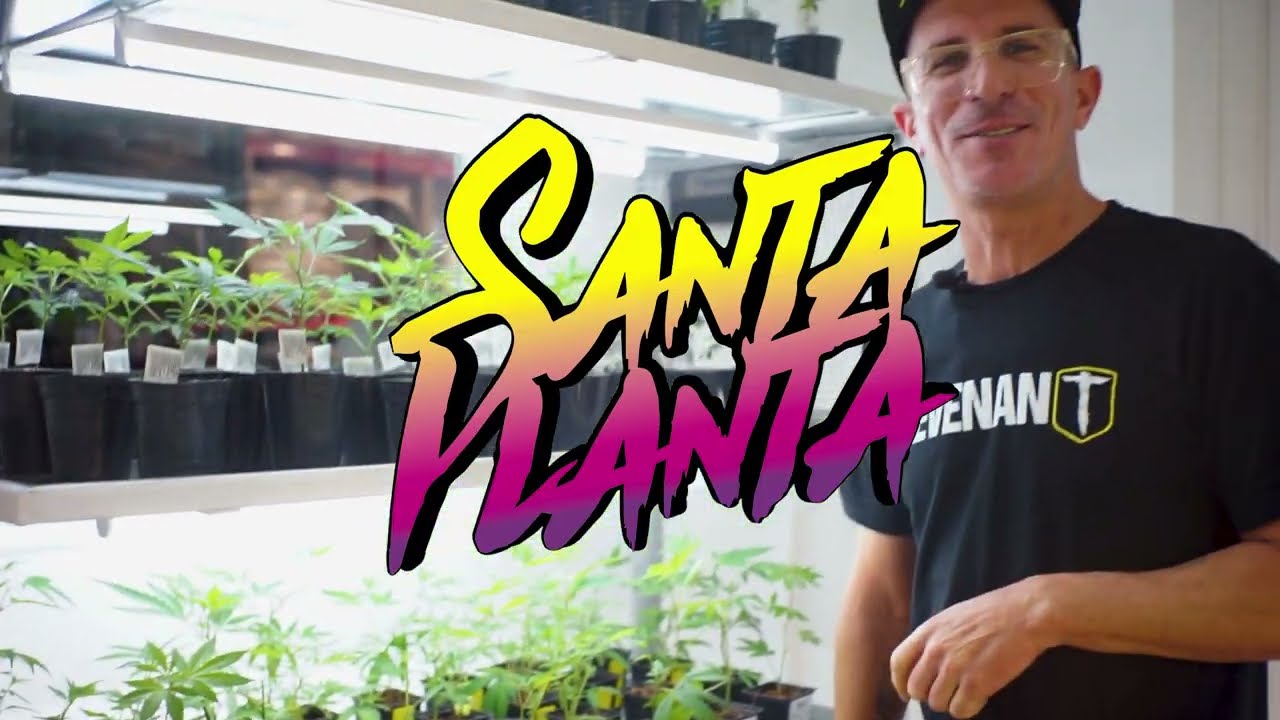 Conoc&eacute; nuestra sala de cultivo legal