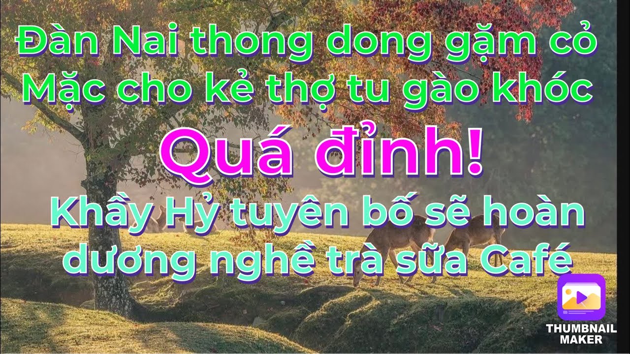 Mộc Liên Tử-木蓮子 /Đàn Nai thong dong gặm cỏ,mặc cho kè thợ tu gào khóc/Khầy Hỹ quảng cáo trà sữa