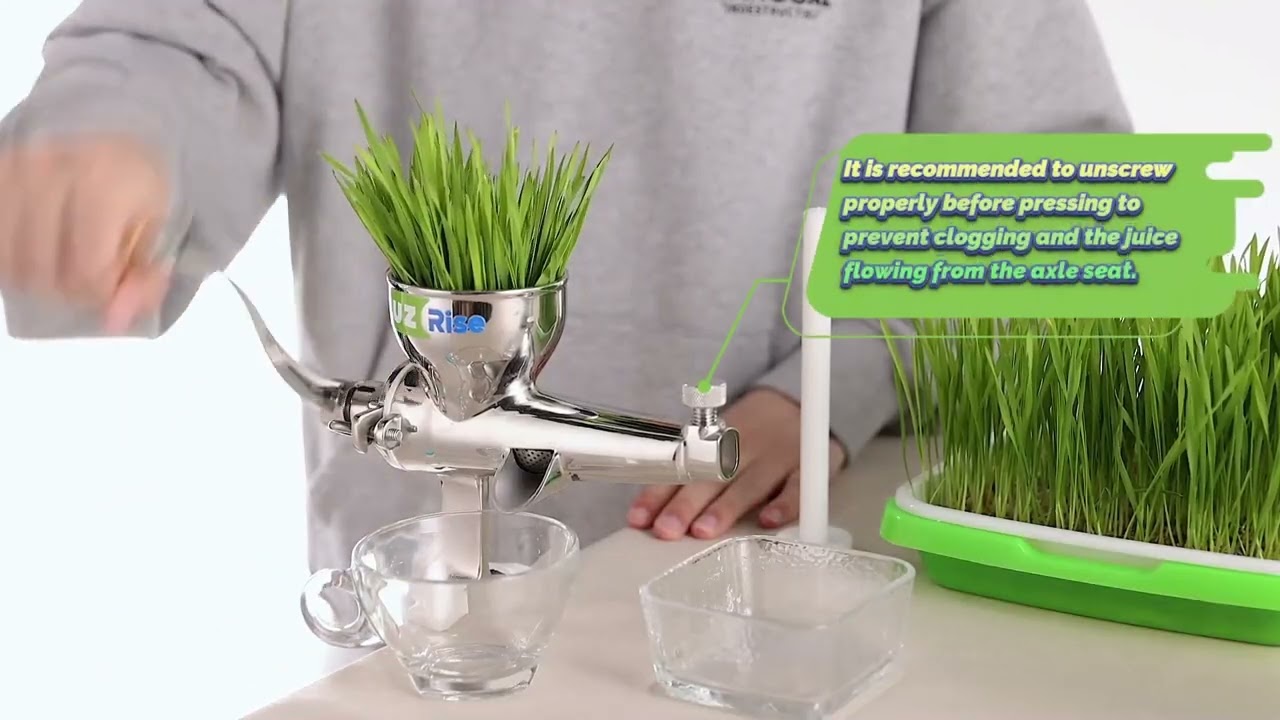 How to use Luzrise manual wheatgrass juicer?