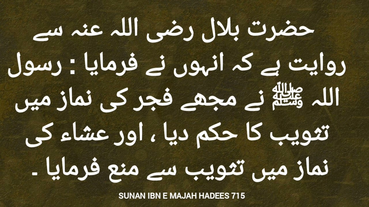 HadeeseNabvi 