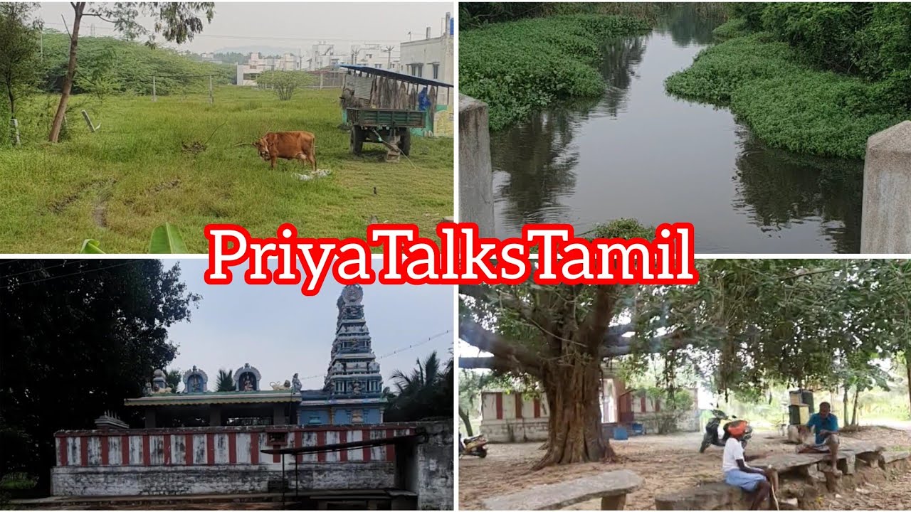 || AQI.. சும்மா.. அதிருது ல || PriyaTalksTamil ||