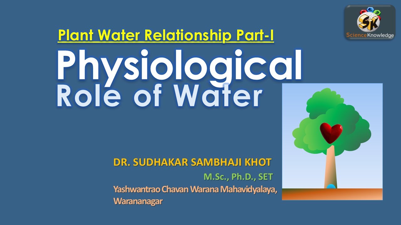 Plant Water Relationship- Part I Physiological Role of water