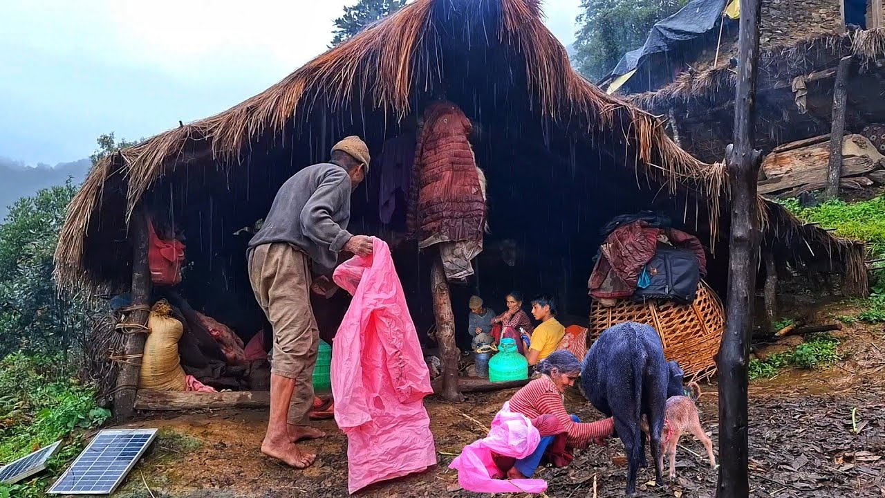 Nepali Mountain village life into the Rainy Season | Daily Activities of Rural village life in Nepal