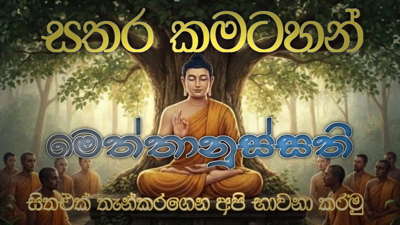 මෙත්තානුස්සති භාවනාව අපි සියලු දෙනා භාවනා කරමු.