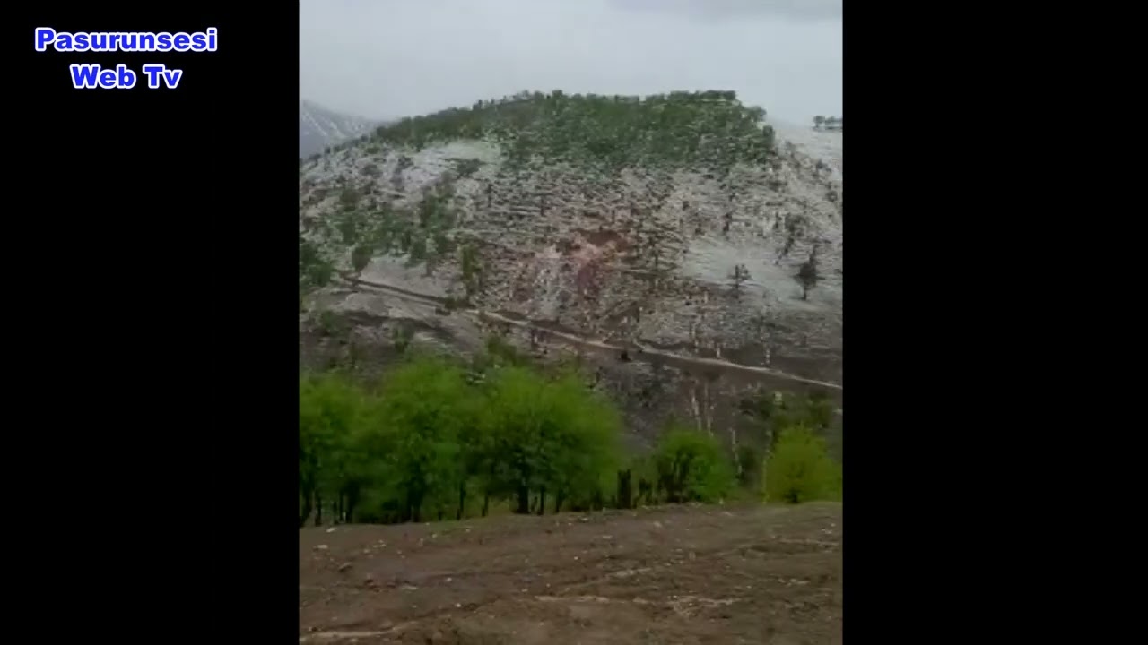Kulp&rsquo;un Ağa&ccedil;korur k&ouml;y&uuml;ne ekili alanları dolu vurdu