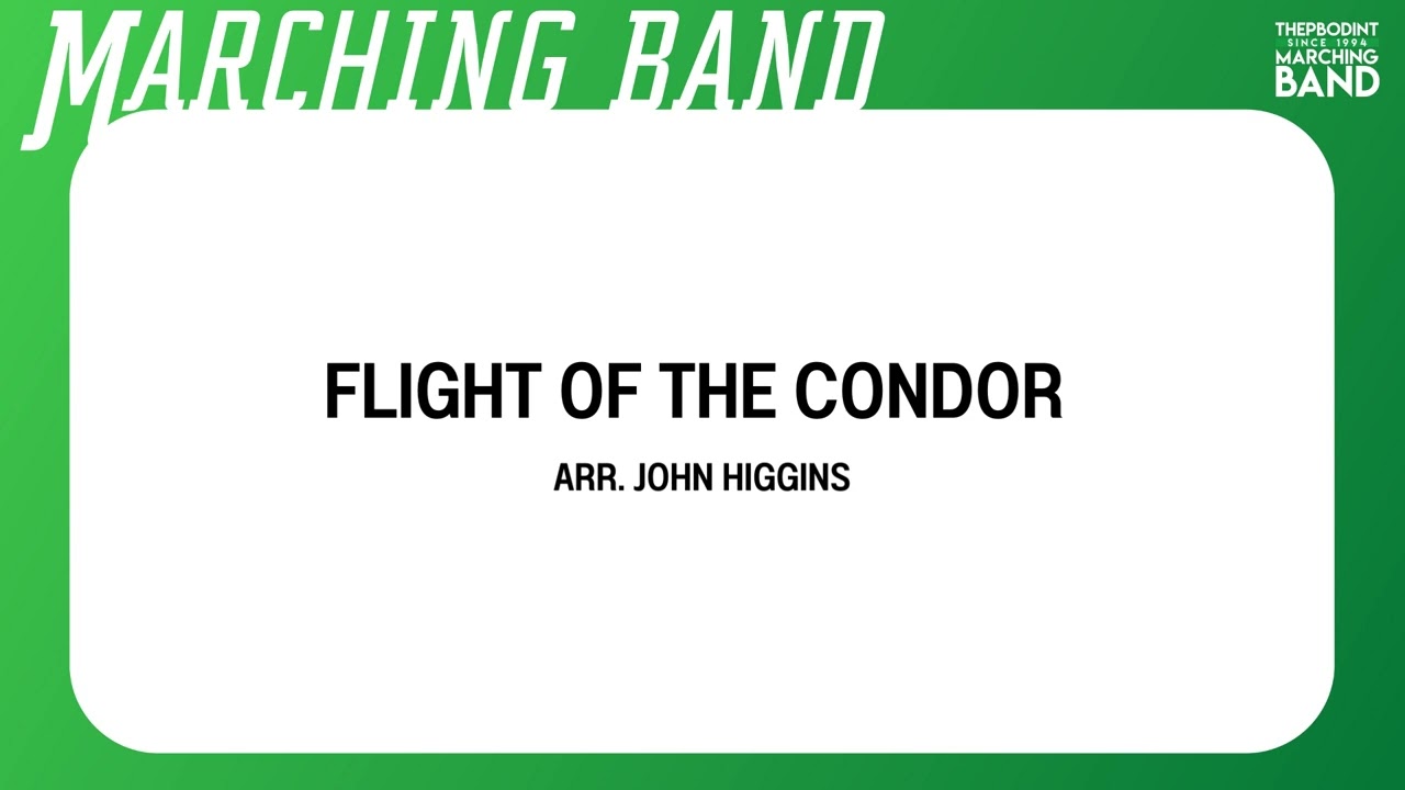 Flight of the Condor