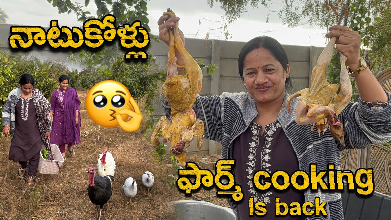 మన ఫార్మ్ లో నాటుకోళ్లు 🤩 #farmland #chicken #food #yummy