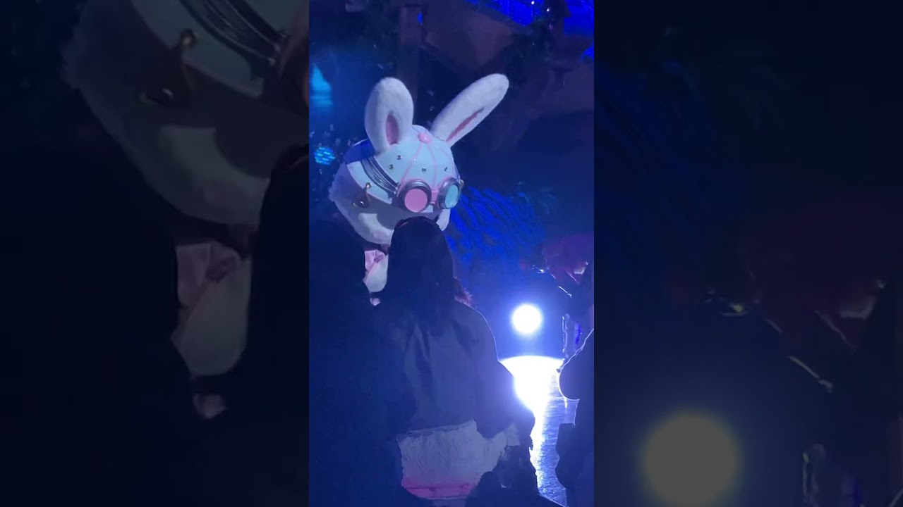 The Quest of Wonders Parade2026年2月15日1パレフェアリー撮影　手ブレあり