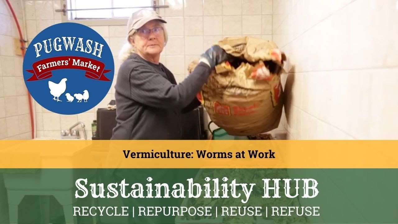 Vermiculture - Worms at Work