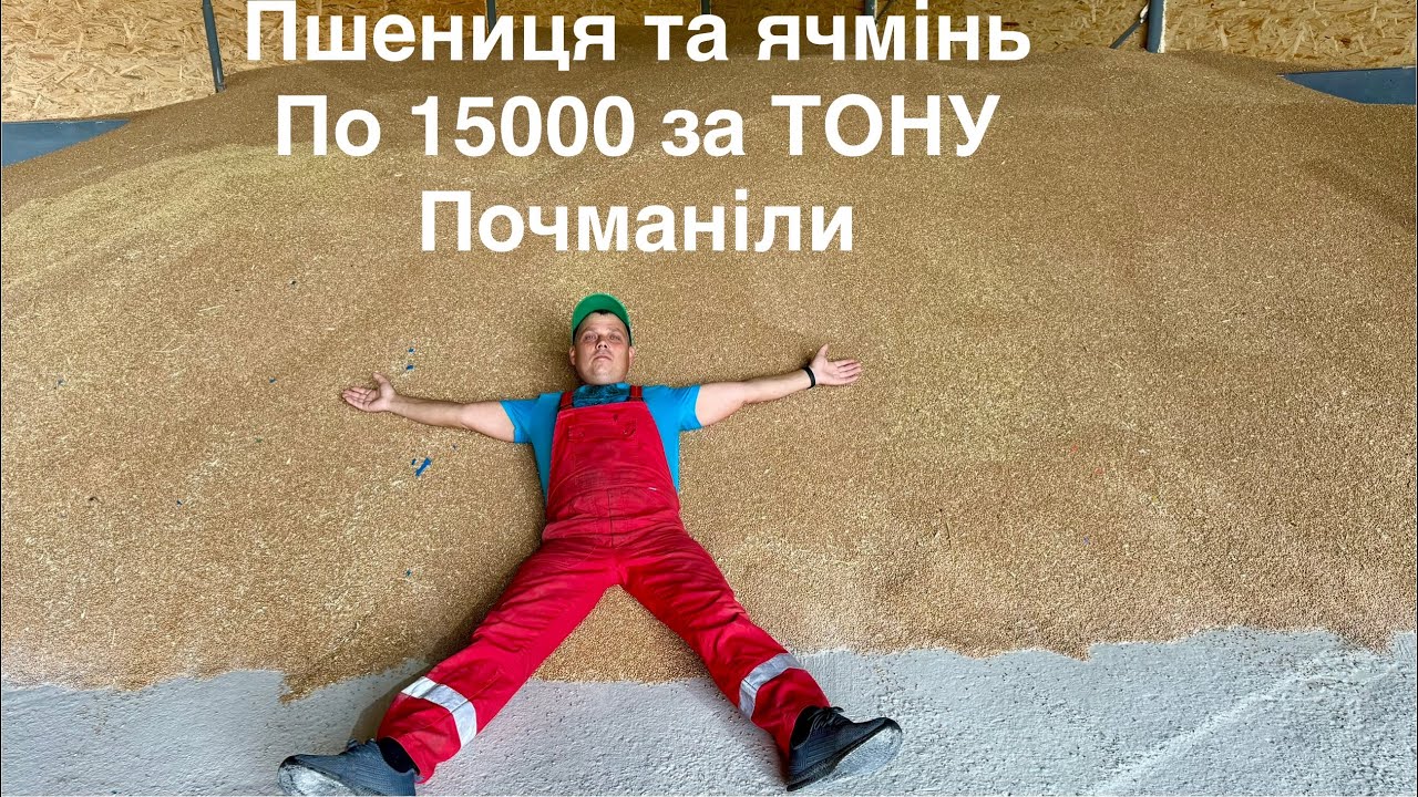 ЧИ ПОДУРІЛИ ЦІНЯКИ ГИЛЯТЬ ,РІК БЕЗ ЗЕРНА.Куплю землю 20гектар та 🚜