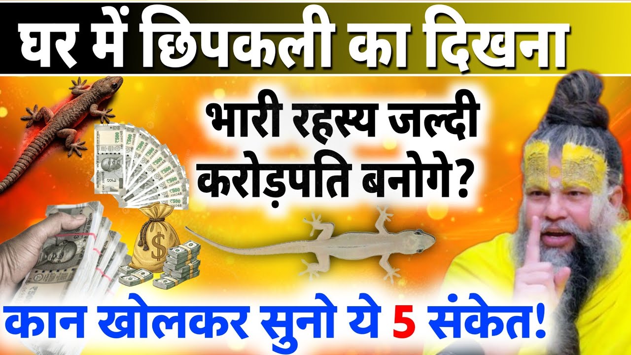 घर में छिपकली दिखना क्या अमीर बनने का संकेत है? ये 5 बातें जरूर जान लें