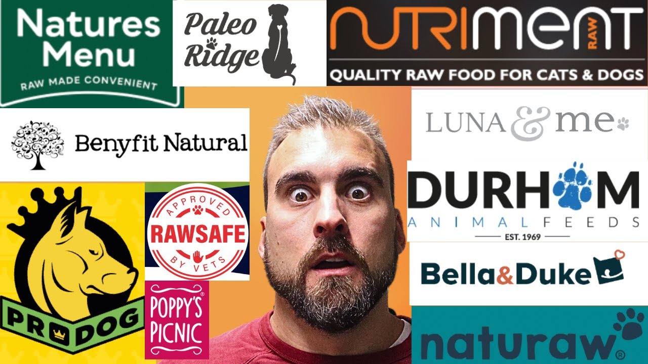 Best Raw Dog Food Brands UK. Which One Is Best?
