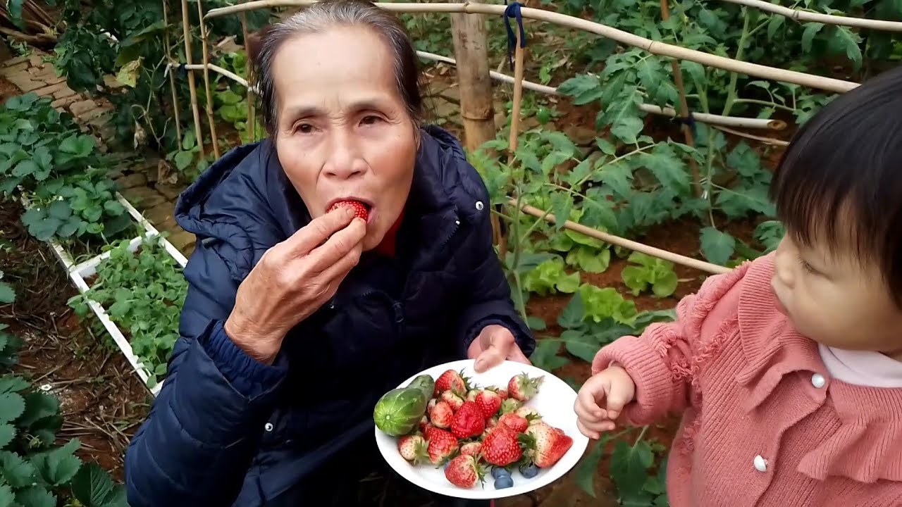 70 Năm Cuộc Đời, Mẹ Lần Đầu Nếm Vị Dâu Tây Và Việt Quất.