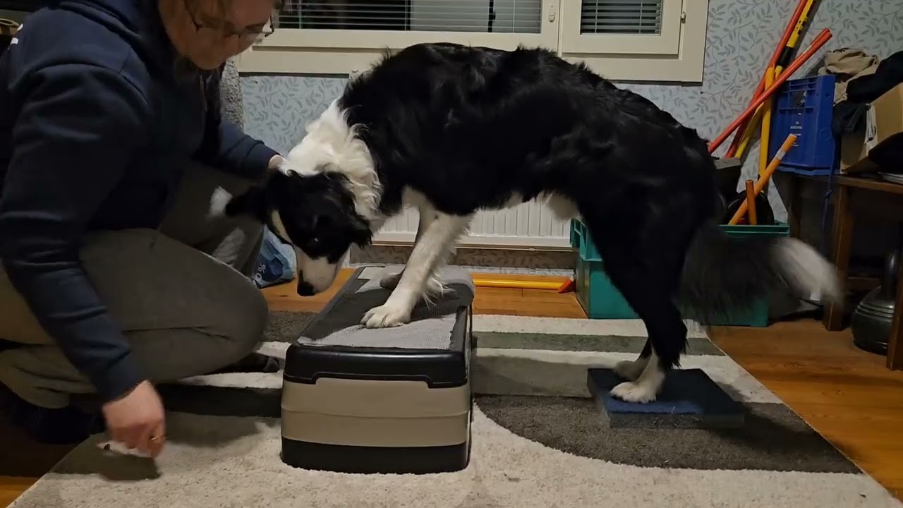 Code 24.10.2025 steppilaudalla