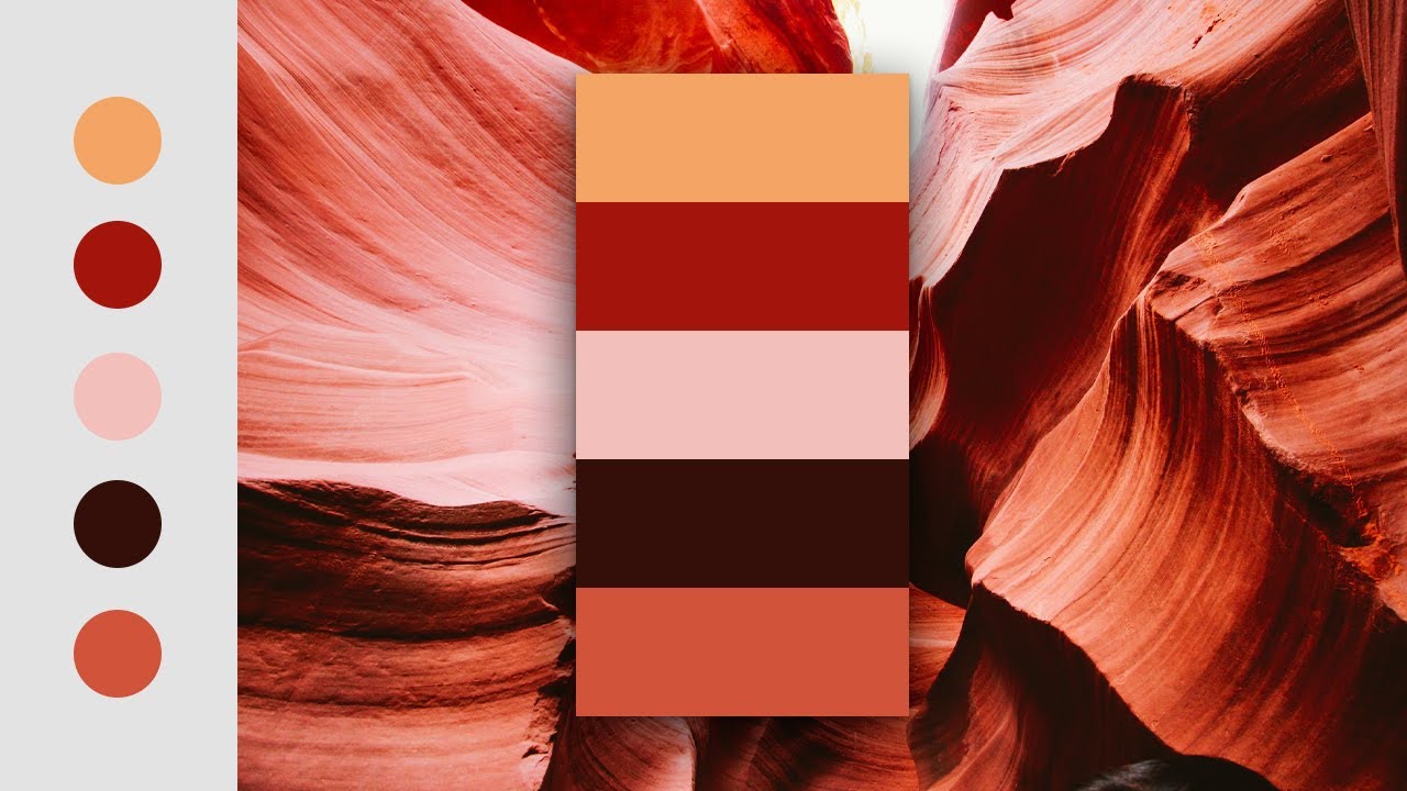 How To Create a Color Palette In Photoshop | Color Palette Generator