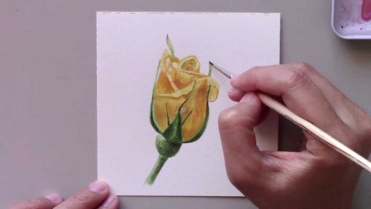Yellow Rose Bud in Watercolor 26/100 | Siti Nuriati Studio