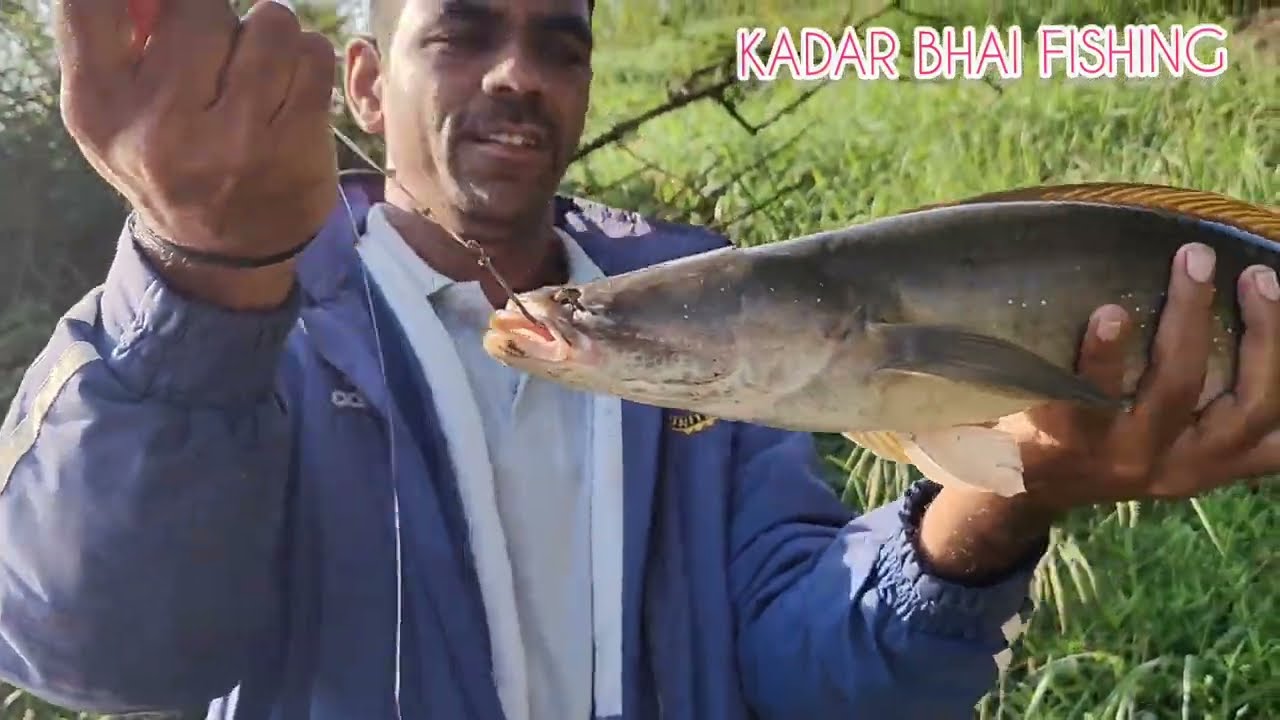 Single Hook Fishing | SNAKEHEAD & EEL FISHING | Unique Fishing #fishing #kadarbhaifishing