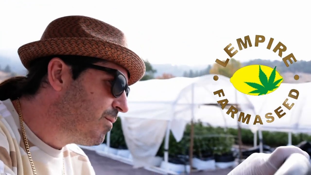Lempire Farmaseed EP 1  