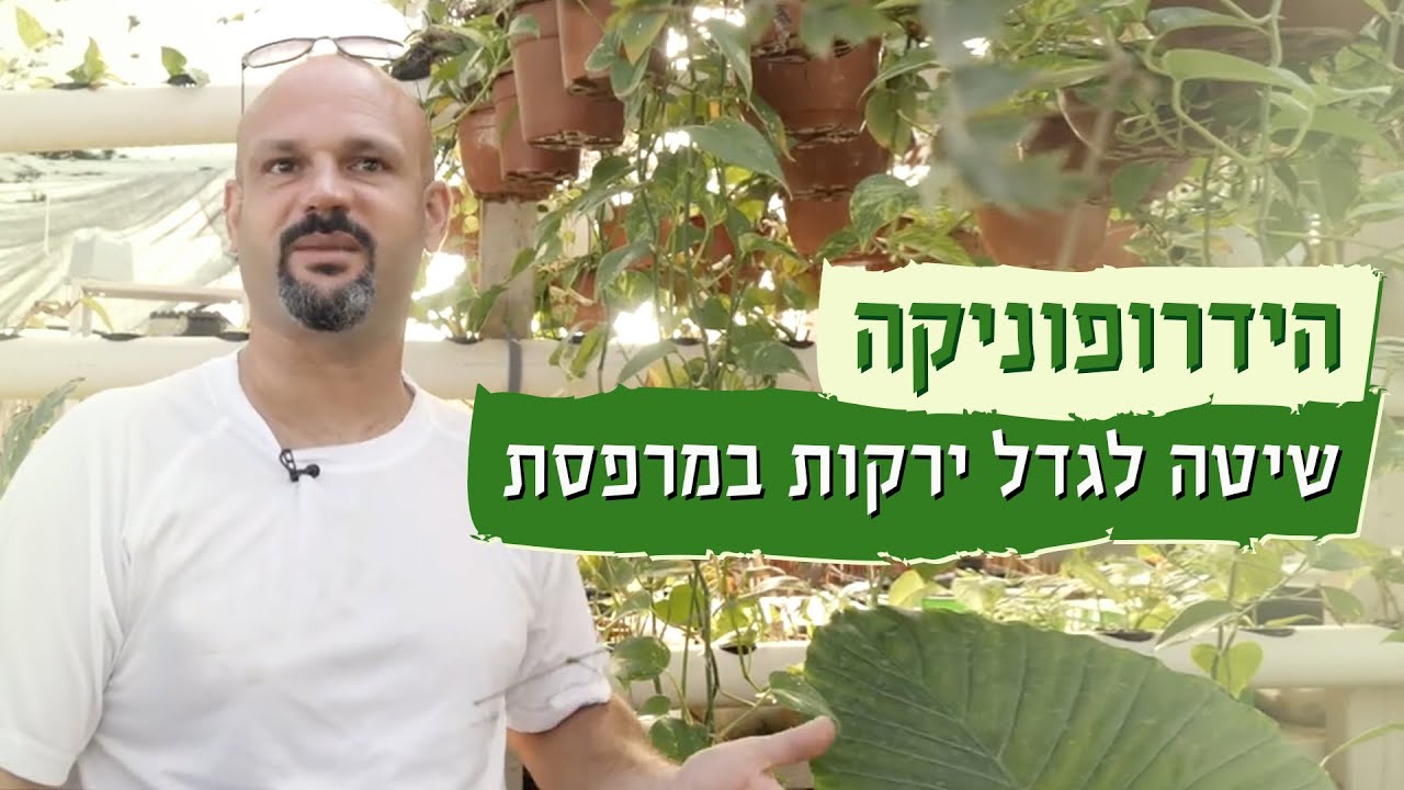 האיש שמגדל ירקות באוויר | עושים ירוק