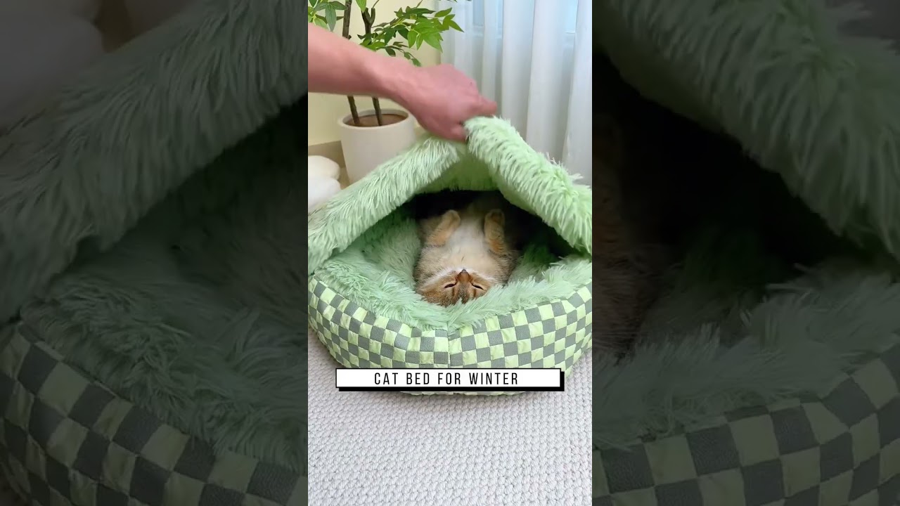 Cat bed for winter, Link is on bio or copy:www.niopets.com