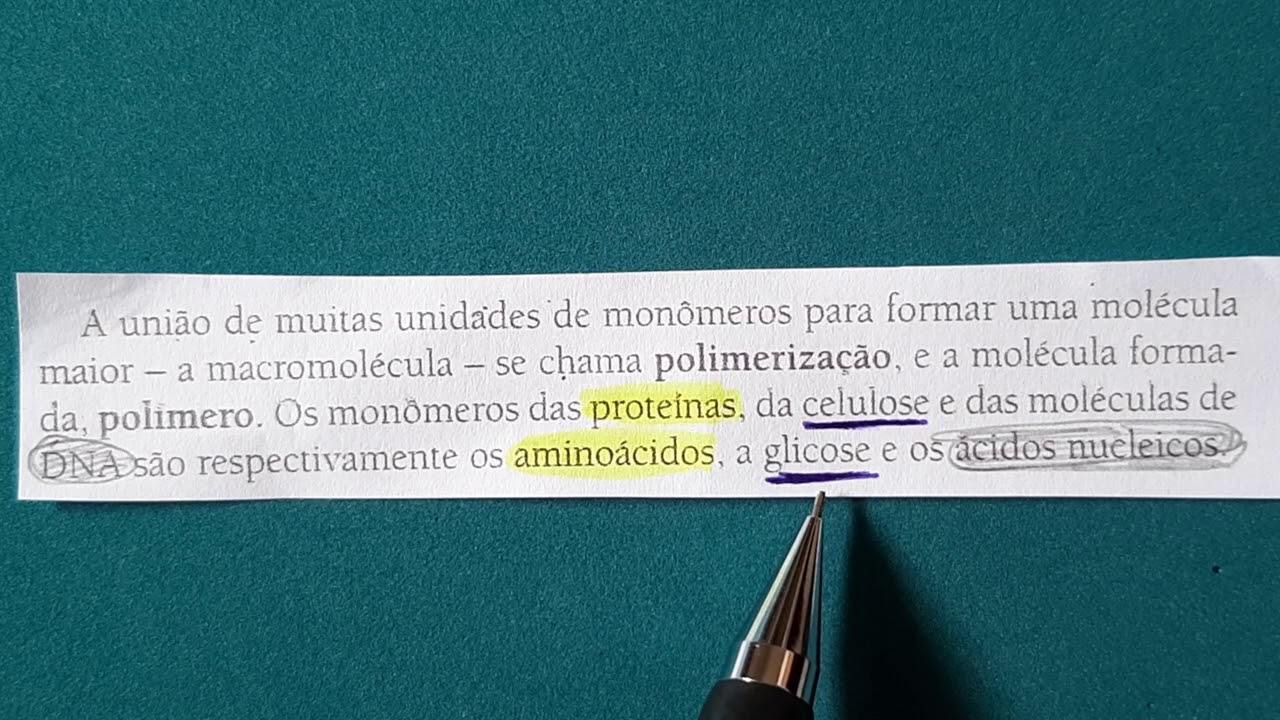 2. Monômeros e polímeros