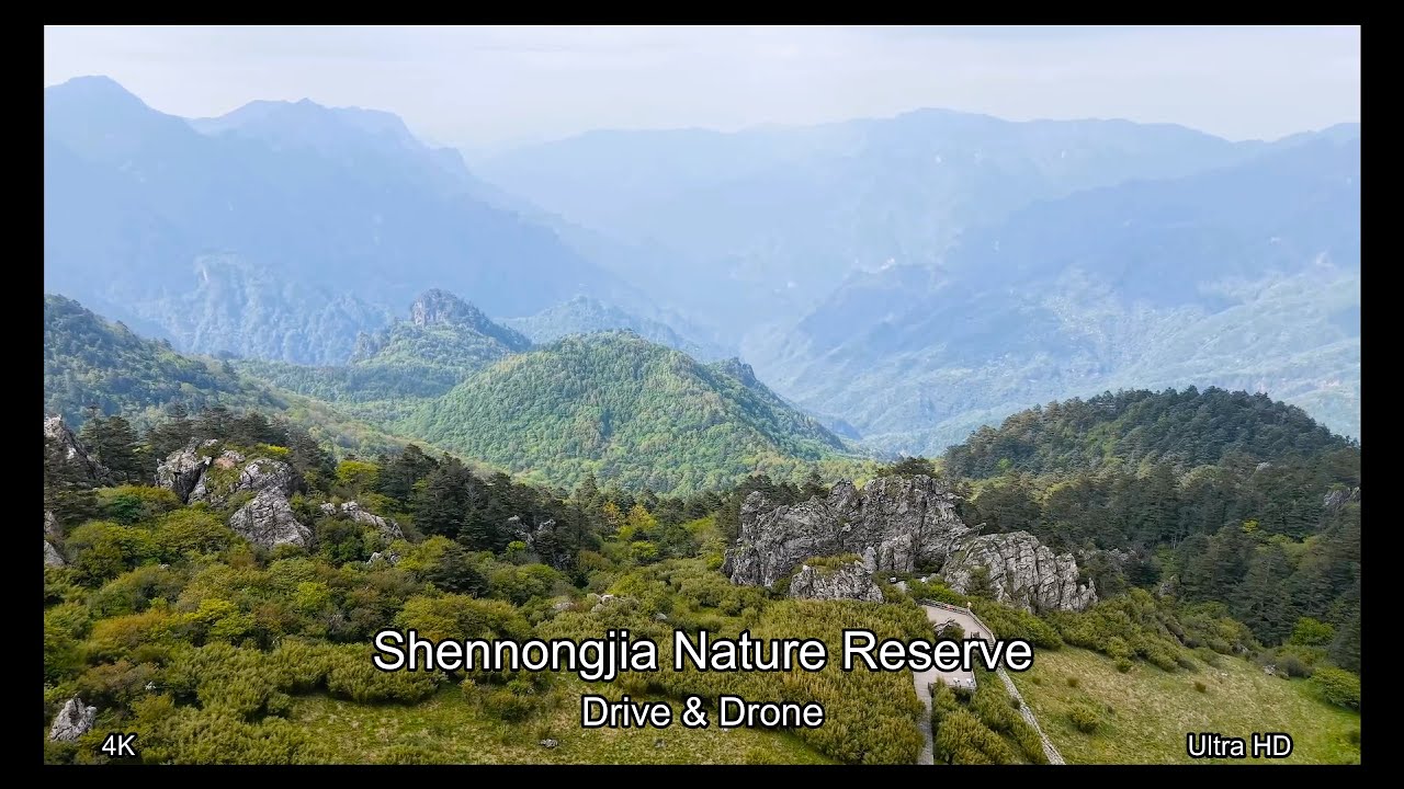 Shennongjia Nature Reserve  4K Drive & Drone