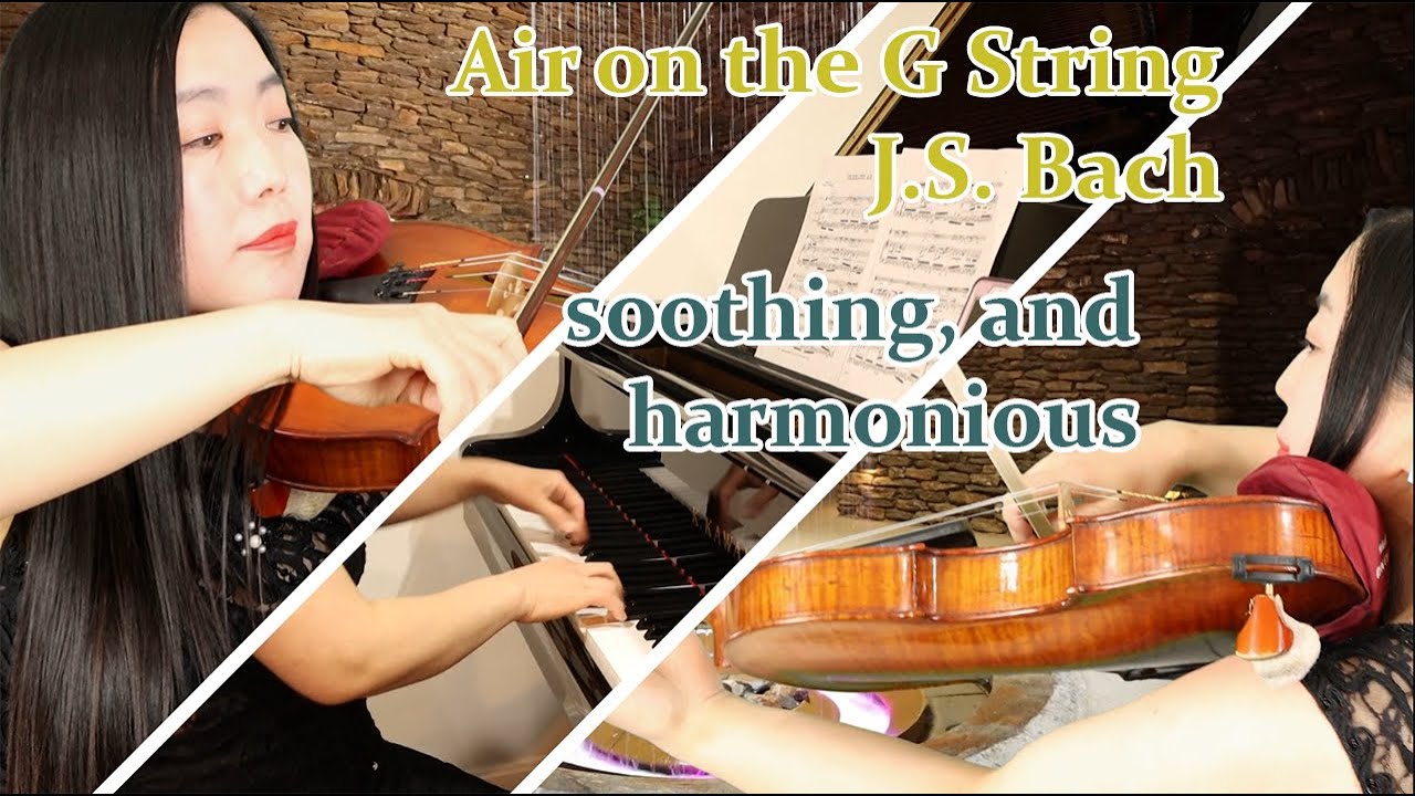J. S. Bach, Air on the G String (arr. viola and piano)