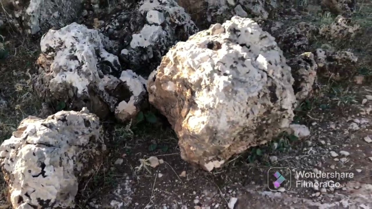 إكتشاف إشارة الجرن السماوي البيضاوي وبجانبهما كنز من فظة/treasure hunter/chasse trésor/détecteur