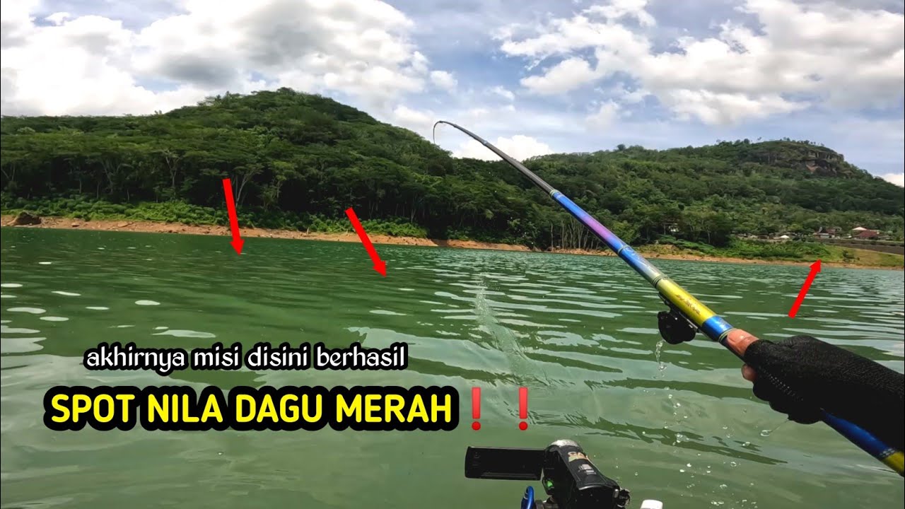 MEMANG BEDA❗❗❗ IKAN DISINI WARNANYA SANGAT CANTIK SEKALI || WADUK TUGU TRENGGALEK
