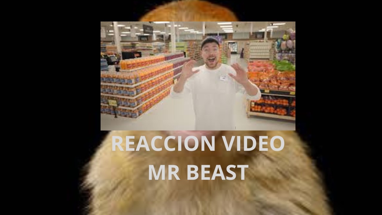 ToXIL REACCIONA A mr BEAST