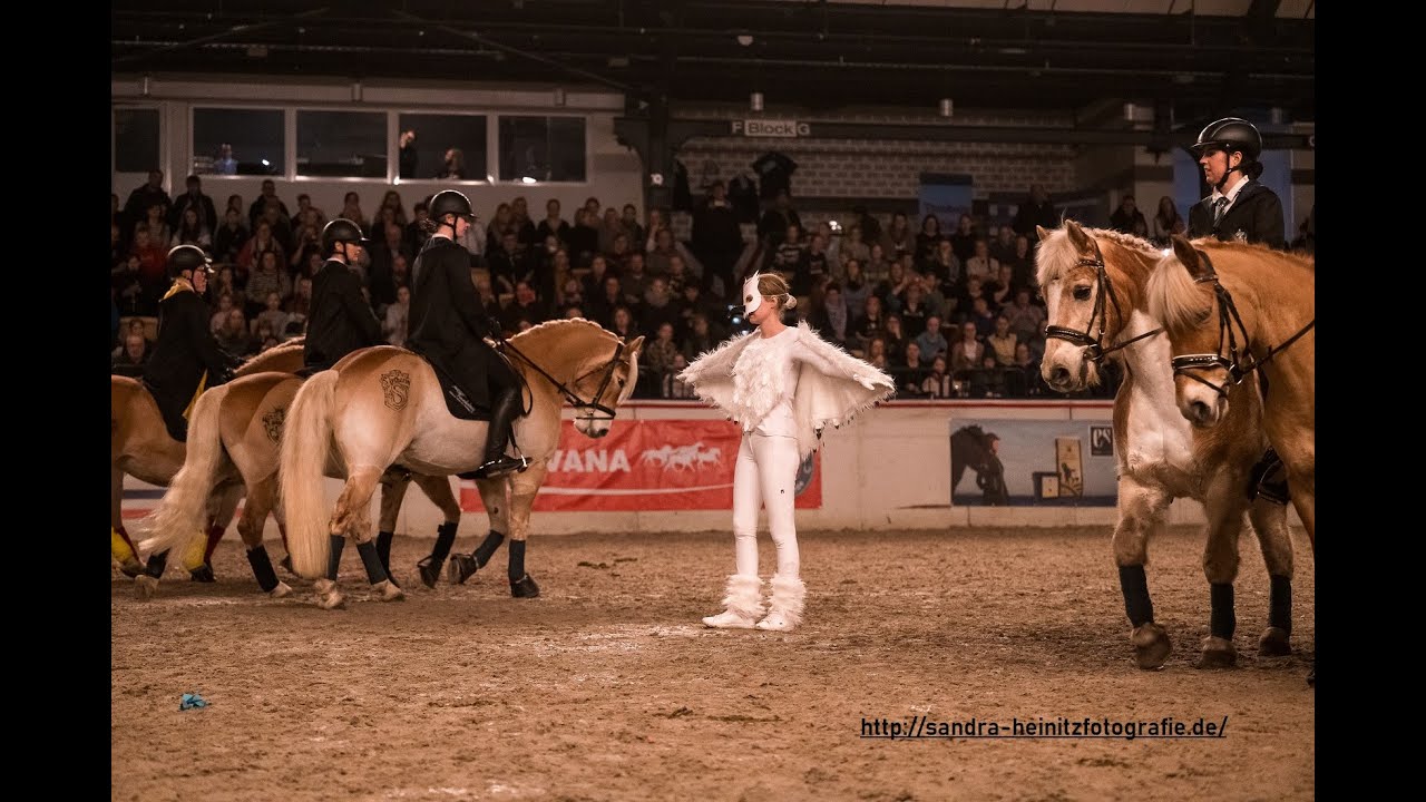 Auftritt Holstenhalle Pferdestammbuch Quadrille des Haflinger Freundeskreis Harry Potter