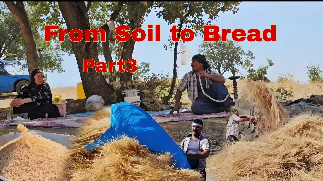 Part 3: تبدیل خوشه گندم به گندم به روش سنتی