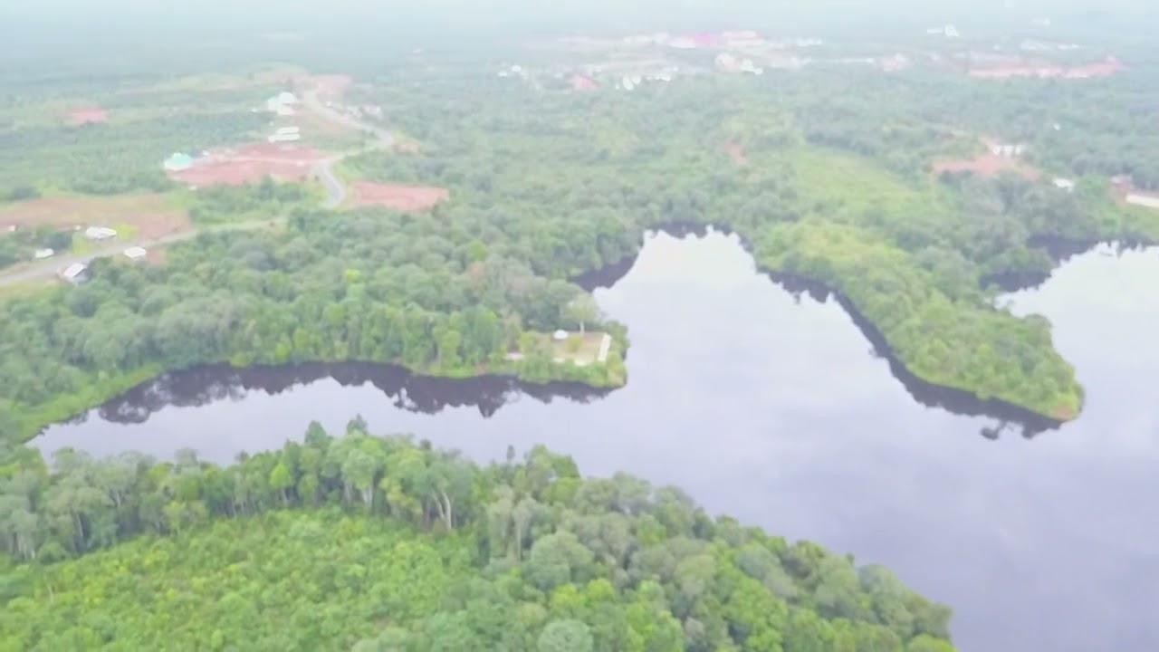 Pemandangan Drone || Danau