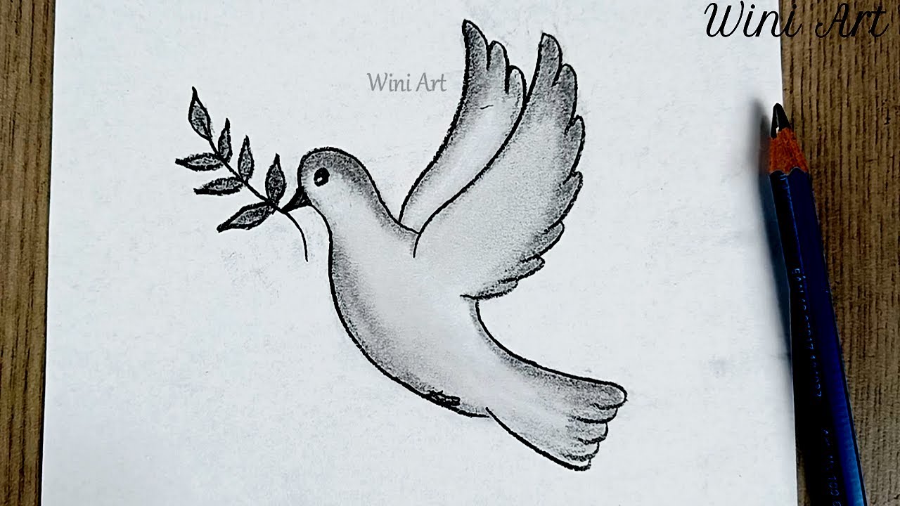 رسم سهل | رسم حمامة السلام وغصن الزيتون بقلم الرصاص سهل | تعليم الرسم | كيفية رسم حمامة السلام