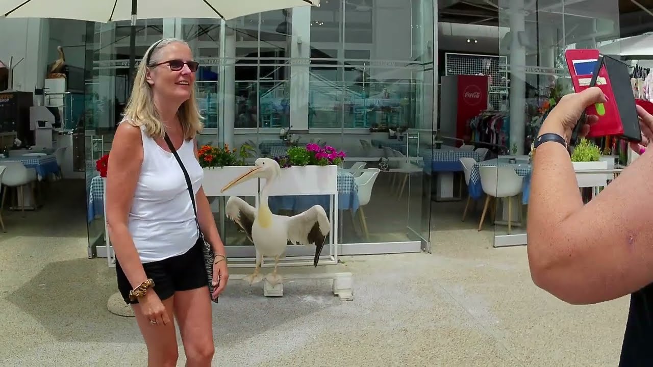 Walk along the Sea Front | Paphos | Cyprus | May 2025