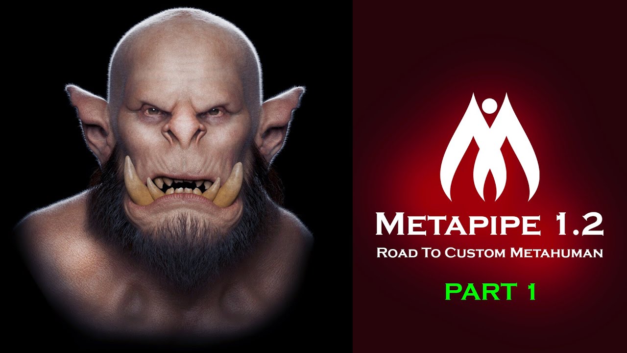 Full Workflow Part 1: Metapipe Installation | Road to Custom Metahuman