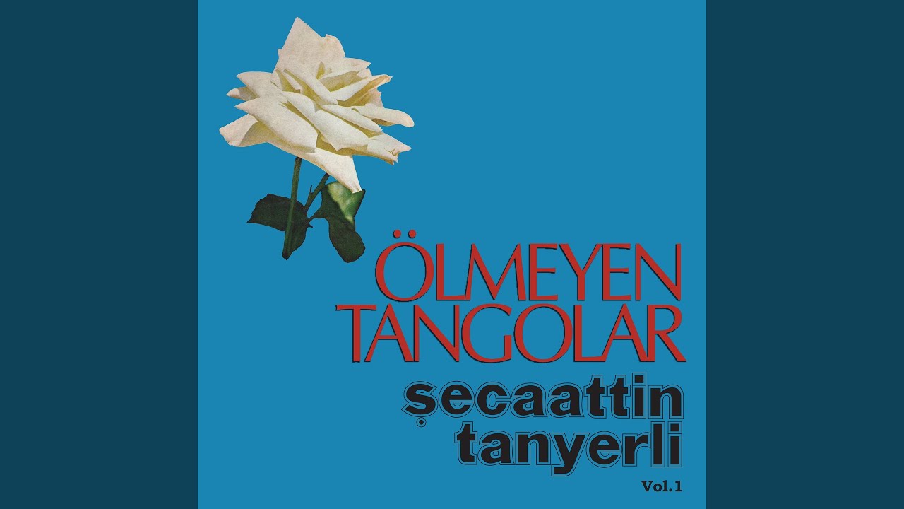 En Son Hatıran