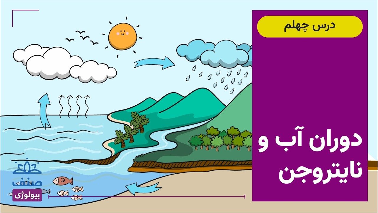 صنف - بیولوژی صنف دهم- درس 40: دوران آب و نایتروجن