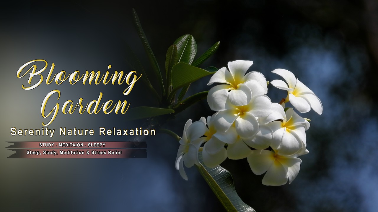 Blooming Garden Escape 🌼 Calm Nature & Flower Relaxation Video