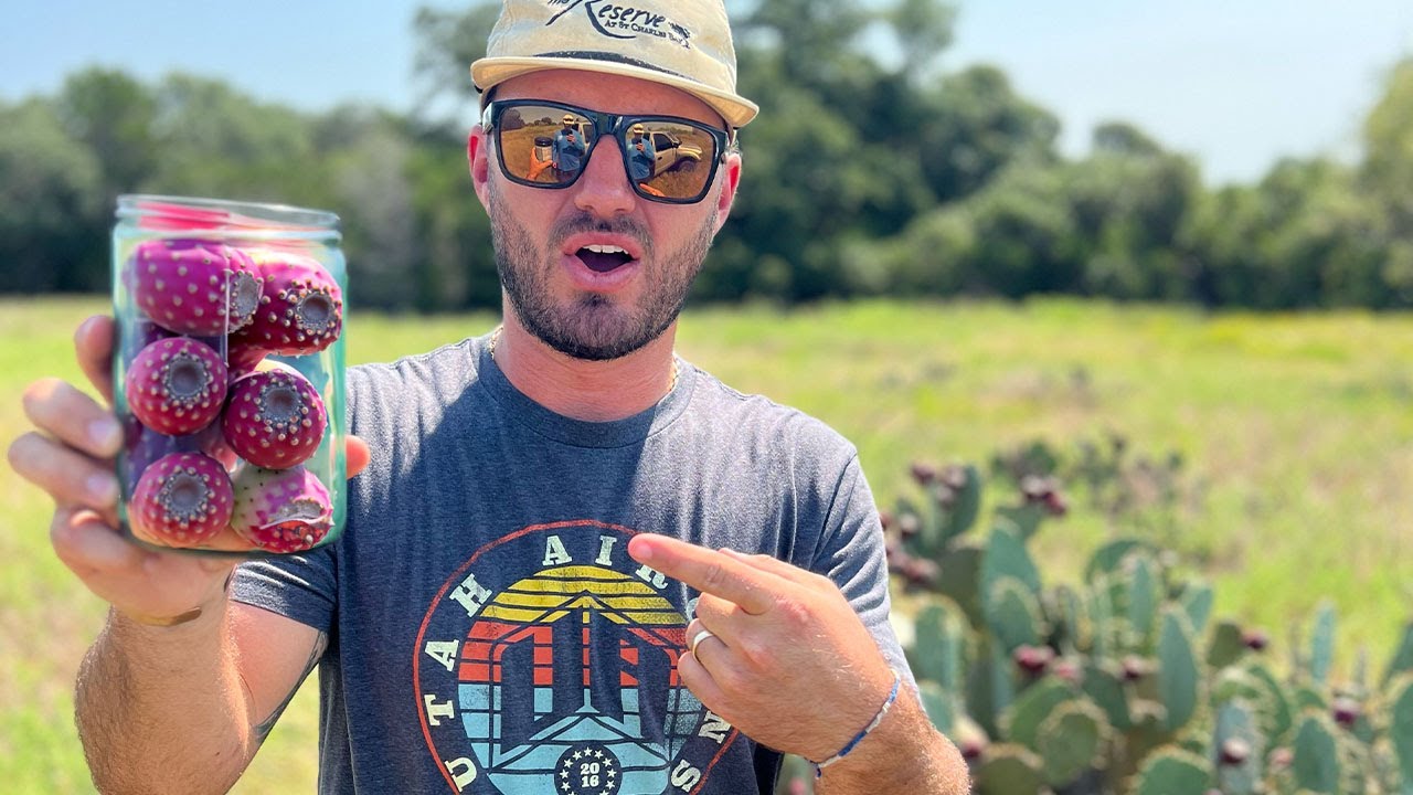 Making Jelly From PRICKLY PEAR CACTUS {Catch Clean Cook} | Mullet Man