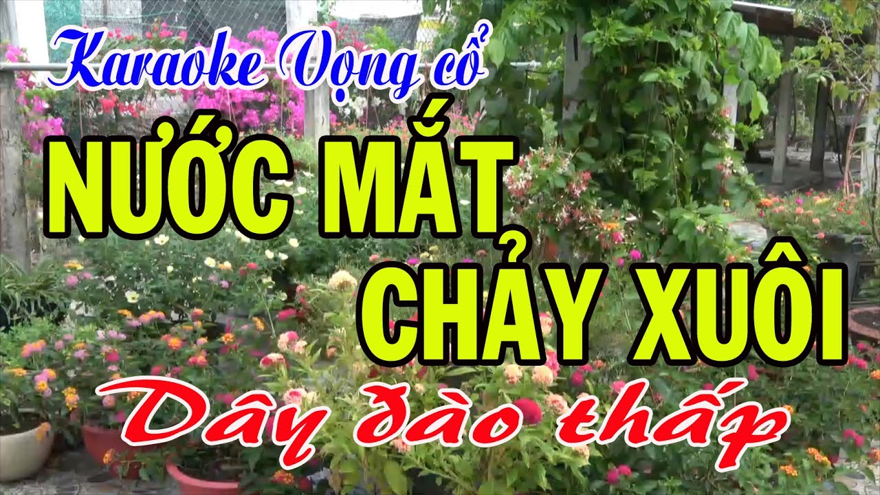 Karaoke Tân cổ: NƯỚC MẮT CHẢY XUÔI - Dây Đào thấp (Bản chuẩn nhất) Tác giả: Nguyễn Hữu Nghĩa