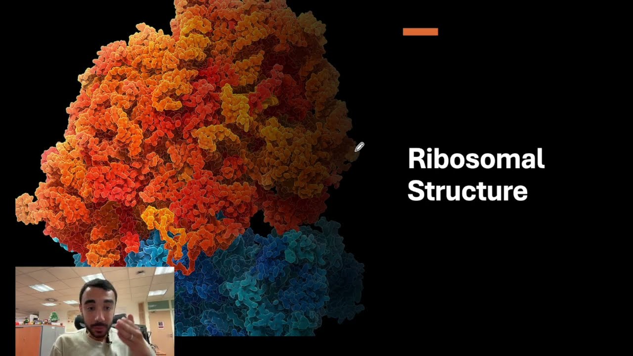 Lecture 2 – Ribosome Structure, Function, and the Role of rRNA | Protein Translation Course