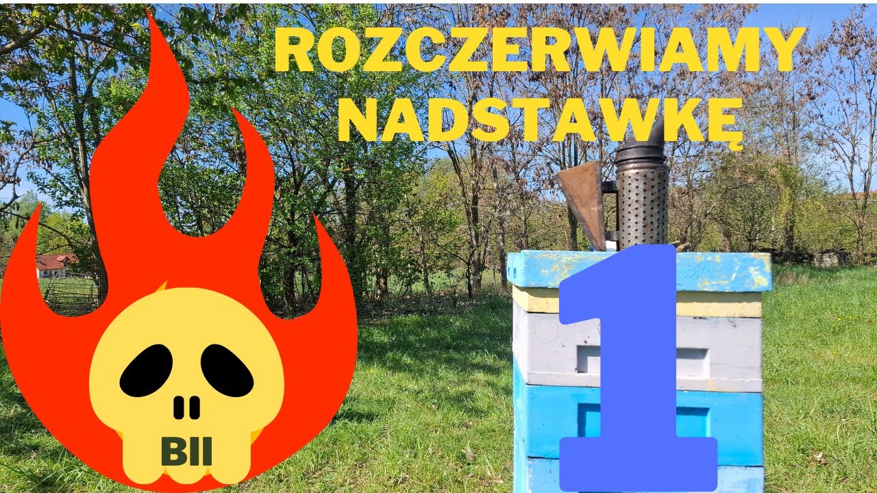 Metoda przeciwko rojeniu się pszczół. cz1