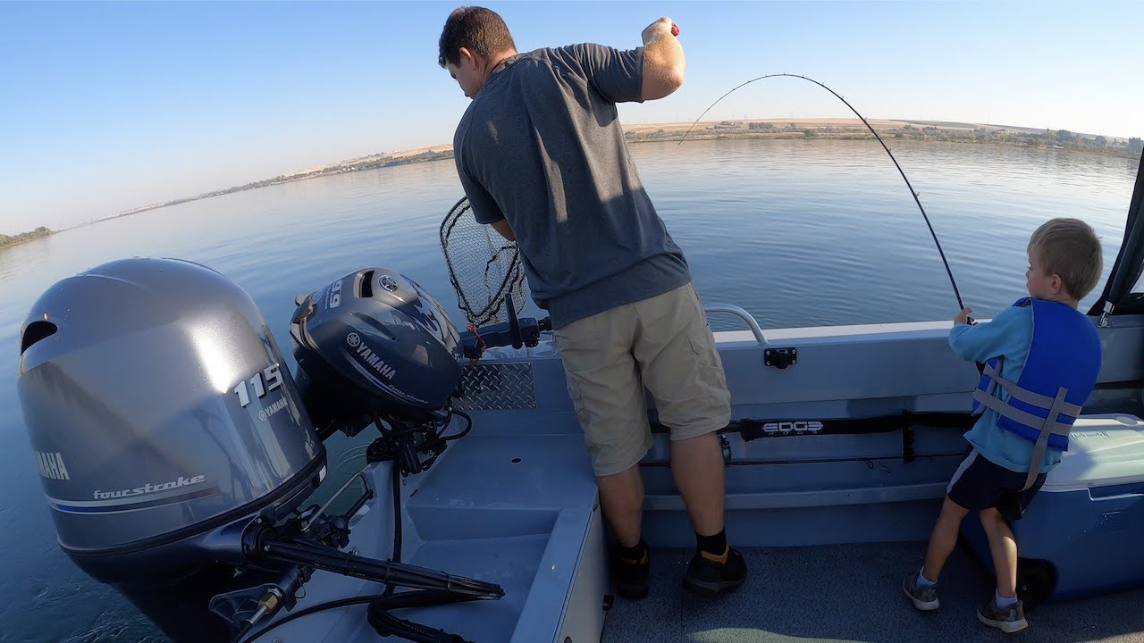 Catching GIANT Columbia River Walleye
