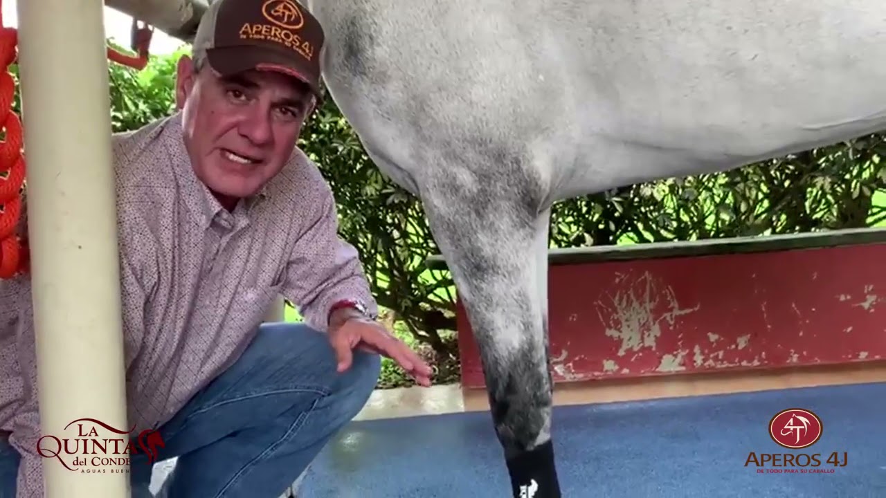 Resoplo #9 Inflamacion en las patas de tu Caballo