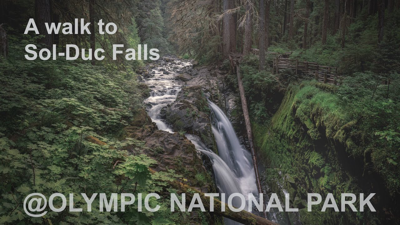 A Walk To Sol duc Falls, ASMR, Olympic National Park, Sounds Of Photography 4K